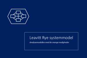 Leavitt-Ry – Modellen med de mange muligheder